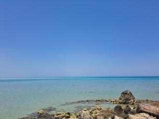 Turtles beach resorts - 3