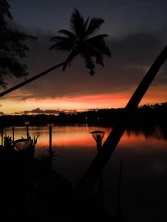 RivoGoa riverside Homestay - 2