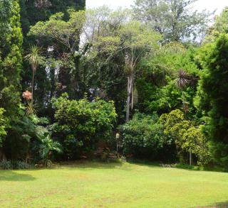 Guesthouse Charis - 4