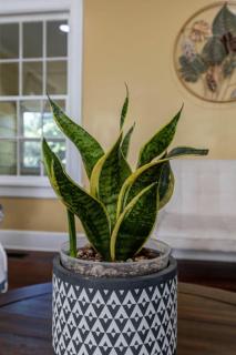 Trailside Escape - 1