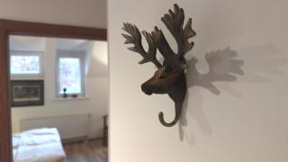 Appartement im Gutshaus - Staufenberg - 2
