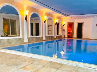 Holiday Luxury Villa Indoor Pool Party Events near Basel - 9