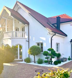 Villa Löwe - Heated Indoor Pool, Spa & Wellness Estate near Basel - 0