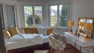 Holiday Luxury Villa Indoor Pool Party Events near Basel - 2