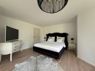 Villa Löwe - Heated Indoor Pool, Spa & Wellness Estate near Basel - 3