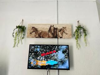 Hlatsi Bushview Apartments & Safaris - 6