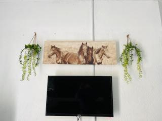 Hlatsi Bushview Apartments & Safaris - 4