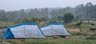 The Buddha Village - 2