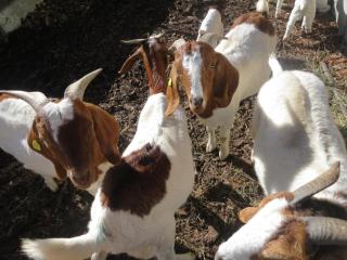 Ferienwohnung Langberg - b48588 - 2