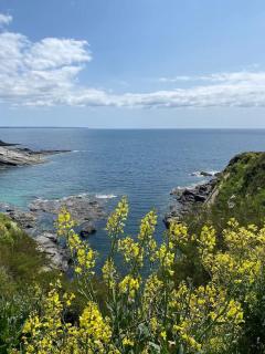 Homely Cottage & Garden nr Praa Sands & Marazion - 8