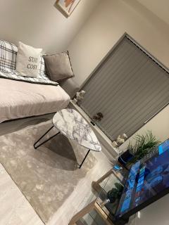 Sleek Contemporary Luxury One-Bedroom Apt - 3