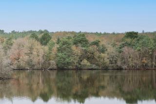 Ker Cado - Chambre d'hôtes - 8