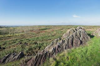Ker Cado - Chambre d'hôtes - 6