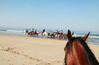 Maison entre fleuve et océan - 8