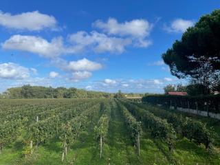 Maison entre fleuve et océan - 5
