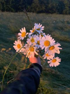 Chata u studánky - 2