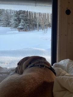 Chata u studánky - 3