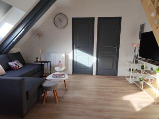 Très joli F4 neuf au pied du Château avec jardin - 7