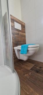 Reiterhof Romanasa Ferienwohnung - 1