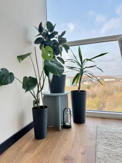 Ternopil Panorama 1 room apart - 7