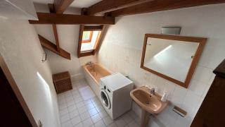 Grillen's Garden - 6