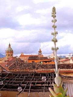 Casa Cutó near Central Station - 5