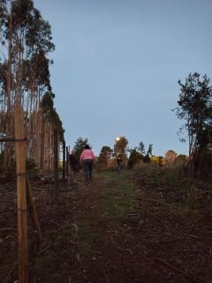 Cabaña el bosque de la bruja - 1