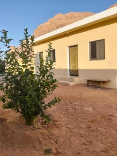 Rum Adventures Hostel - 9