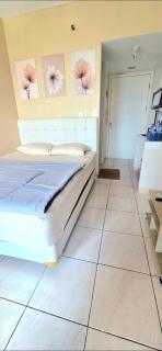 summarecon springlake view - 9