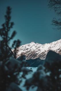 Pension Steinkogel - 2