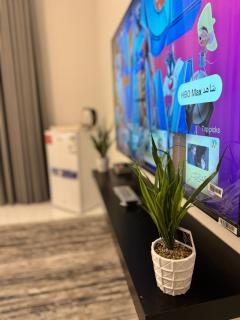 Studio with full services - 1