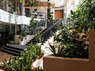 Mercure Sydney Parramatta - 5