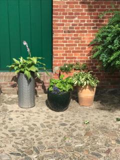 Helpens Hof - Salzhausen - 6