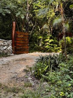 Villa Ixchel private pool - 8