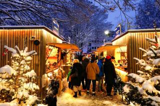 Freiraum 9 Living Apartment - 6