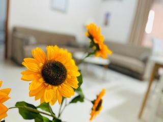 ALBis City Center Apartments Selvia - 9