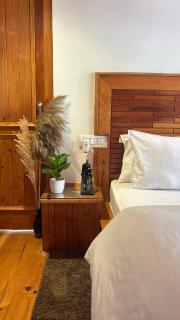 Foresta Living Kasol - 4