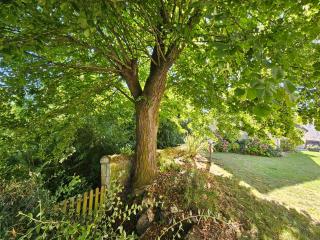 Le Bry de 6 à 14 personnes - 8