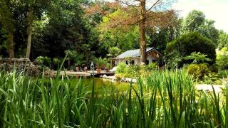 CoCo Cabin Luxe Tiny House - Privé Hottub - Strand & zwemvijver - Privacy - 0