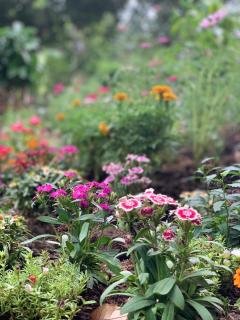 Na Khwae Villa Riverside - Nong Bua - 9