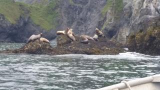 Secluded Waterfront Cottage Rental near Anchorage, Alaska - 8