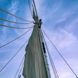 Rose Guest House - 2