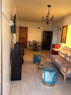 Preciosa vista Viña - San Martin 10 Norte - 6