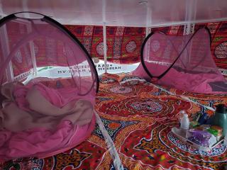 Rose Guest House - 5