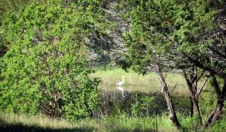 Vintage Airstream Rental for a Unique Getaway in Texas Hill Country near Austin - 6