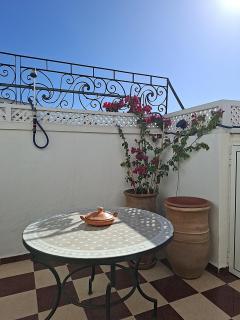 Chaleureux appartement deux terrasses - 3