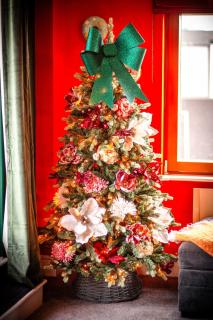 Penthouse Botanica- Wyndale Signature Stays - 2