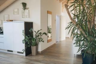 Lichtdurchflutete Wohnung mit großer Dachterrasse - 5