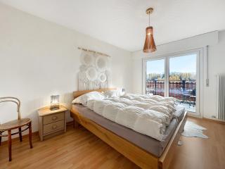 Alpine Vista - Next to the Cable car - Swiss Alps - 2