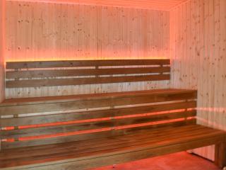 Centilen Pedr - Daffodil - Ukc7078 - 5